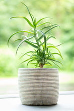 Charger l'image dans la galerie, Paniers Tòor-Tòor